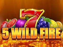 5 Wild Fire screenshot
